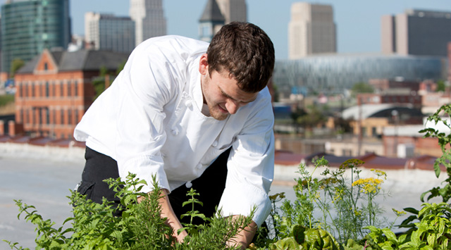 On the importance of urban gardens and growing your own food