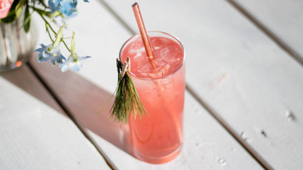 Le cocktail Canneberge Fizz de Rose Simard