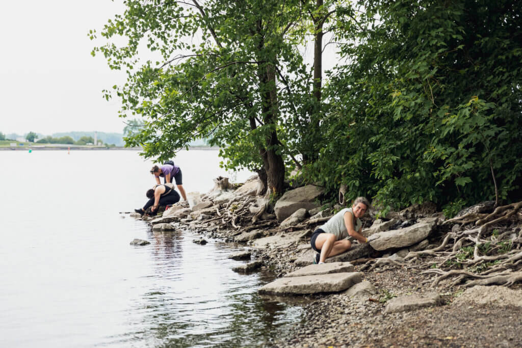 A day of volunteering on the St. Lawrence riverbanks
